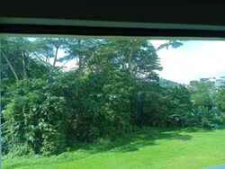 Mera Gardens (D23), Terrace #552840971